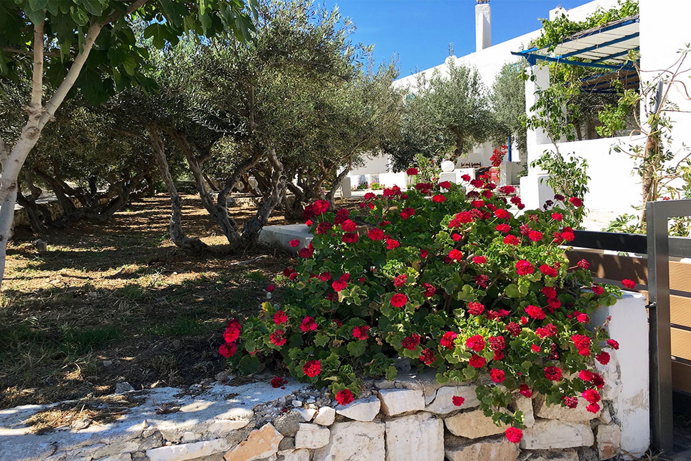 Amaryllis Beach Hotel Chrisi Akti  Dış mekan fotoğraf